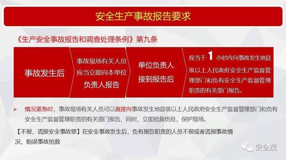 2025新澳门精准正版图库全面释义、解释与落实